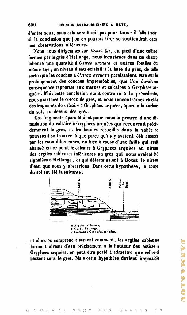 BULLETIN DE LA SOCIETE GEOLOGIQUE DE FRANCE 1852_000649.jpg